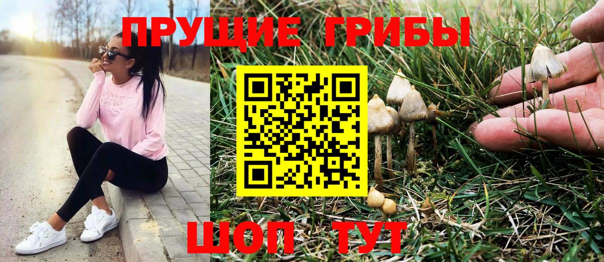Галлюциногенные грибы ЛСД  Вход с VPN  Южно-Сахалинск 