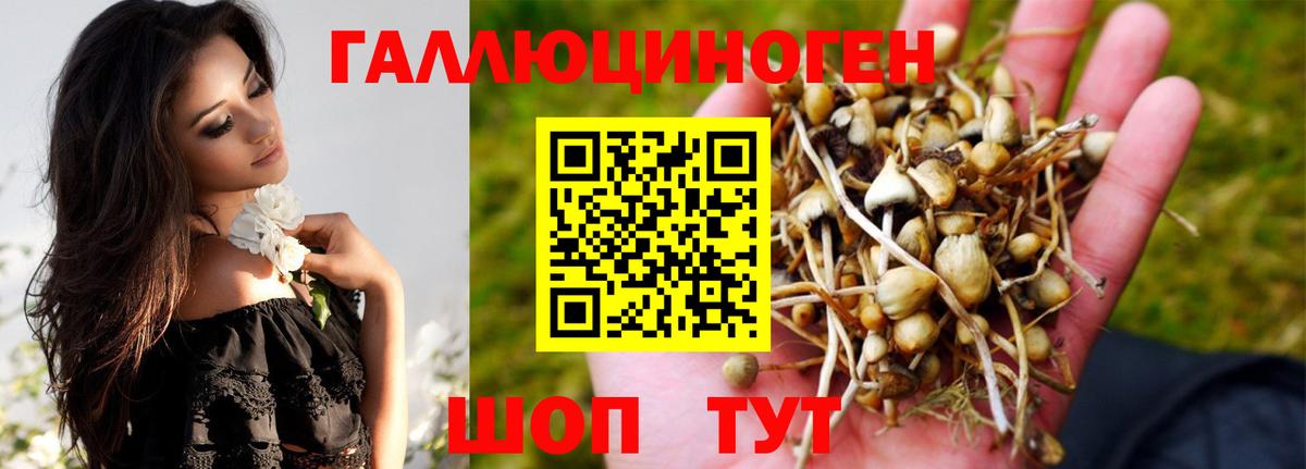 Галлюциногенные грибы GOLDEN TEACHER Южно-Сахалинск